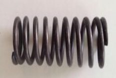 Kugoo S1 S3 front spring