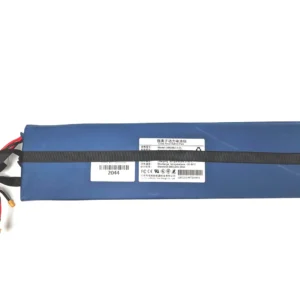 Gpad Joyride Joyor X5S aku 48V 13Ah