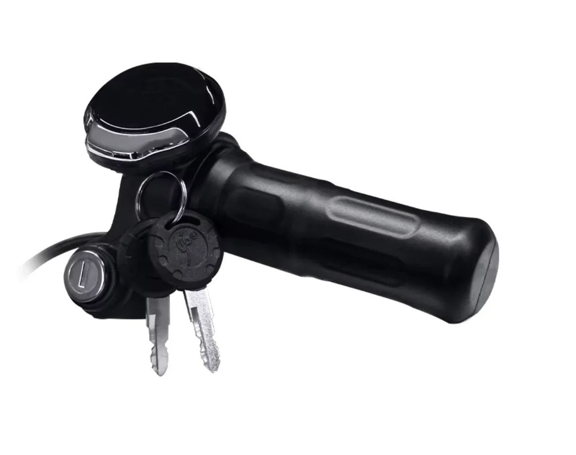 Display ekraan süüteluku / gaasiga ZS801